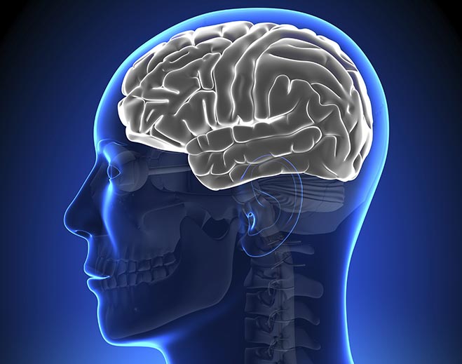 Neurology-Brain-Disorders