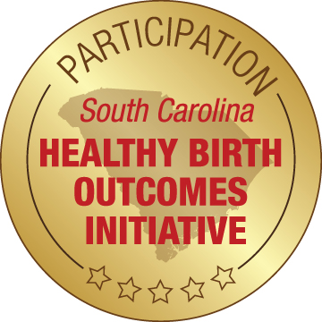 Participant in the SC Healthy Birth Outcomes Initiative